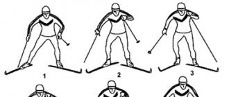 Standardy sportowe dla narciarstwa biegowego