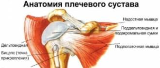 Rozciąganie mięśni barku, pleców, klatki piersiowej Ćwiczenia rozciągające ramiona i obręcz barkową