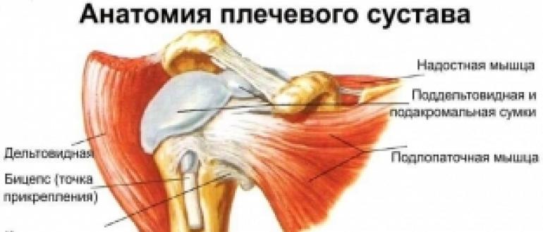 Разтягане на мускулите на рамото, гърба, гърдите Упражнения за разтягане на ръцете и раменния пояс