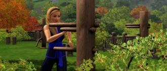 Umiejętność sztuk walki w The Sims 3