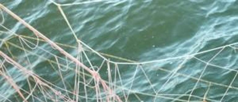 Ndëshkimi për kapjen e peshkut me rrjeta