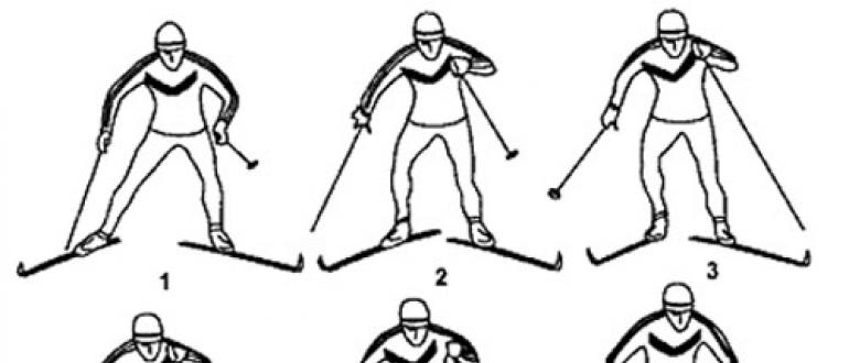 Standardy sportowe w narciarstwie biegowym