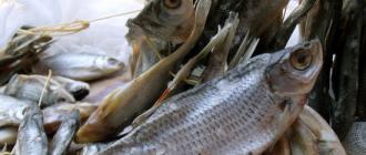 Ako správne soliť ryby: niekoľko receptov na solenie, sušenie, nakladanie