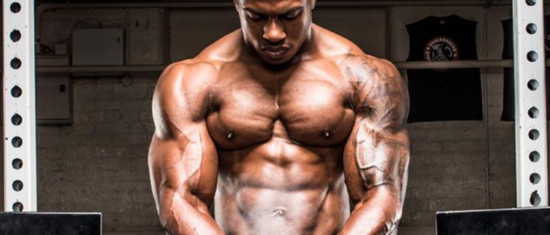 Програми тренувань для набору м'язової маси у чоловіків – яка найрезультативніша?