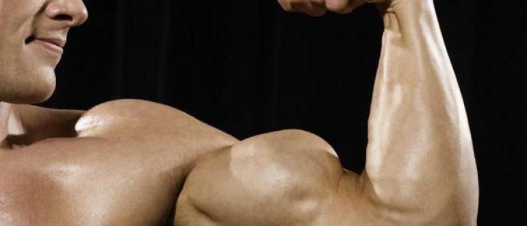 Jak napompować biceps: od chudego do sportowca