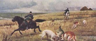 صيد الكلاب الروسية.  